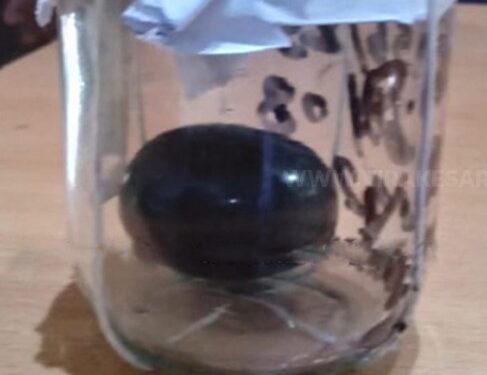 மாணிக்கக் கல்லை விற்பனை செய்ய முயன்ற மூவர் கைது!