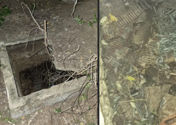 நவாலியில் வெடிபொருட்கள் கண்டுபிடிப்பு