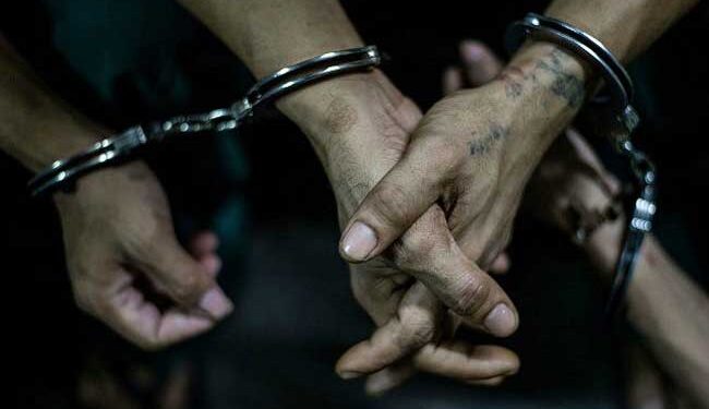 மிருகங்களின் இறைச்சியை விற்பனை செய்தவர்கள் கைது!