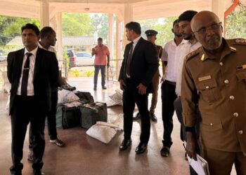 யாழில் தீக்கிரையான 950 கிலோ கஞ்சா!