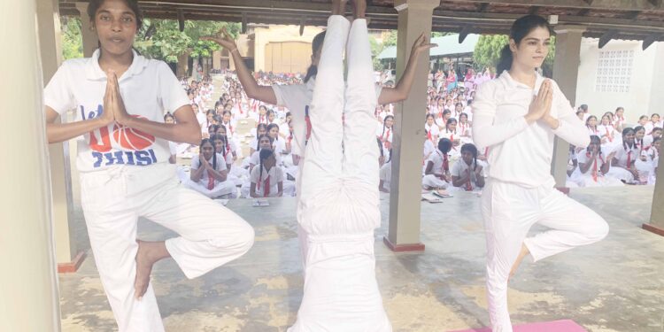 யாழில் யோகா பயிற்சி