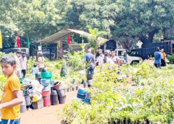 கார்த்திகை வாசம் மலர்க் கண்காட்சியில் பல்வேறு காட்சிக் கூடங்கள் அமைப்பு