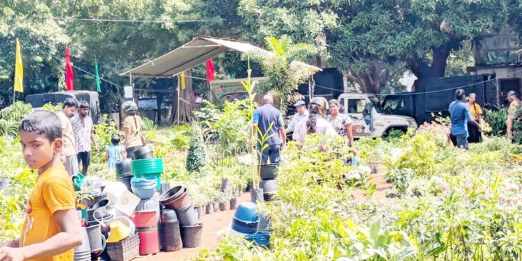 கார்த்திகை வாசம் மலர்க் கண்காட்சியில் பல்வேறு காட்சிக் கூடங்கள் அமைப்பு