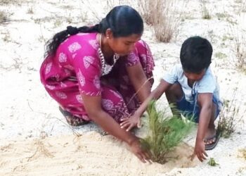 ஆலய சூழலில் மரங்கள் நடுகை