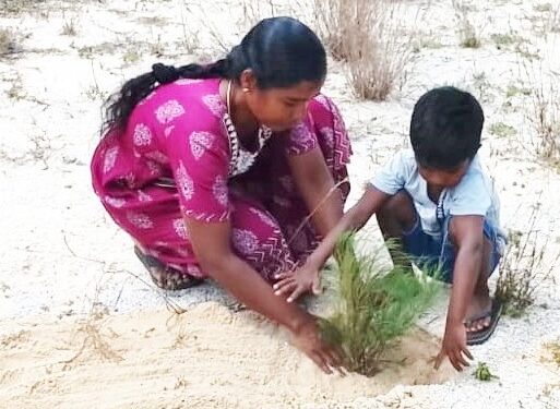 ஆலய சூழலில் மரங்கள் நடுகை