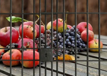 5 மில்லியன் அமெரிக்க டொலர்களை செலுத்தாத வர்த்தகருக்கு 3 வருடங்கள் சிறை!