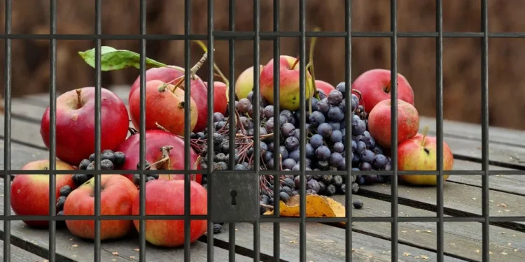 5 மில்லியன் அமெரிக்க டொலர்களை செலுத்தாத வர்த்தகருக்கு 3 வருடங்கள் சிறை!