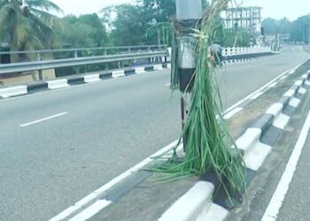 அரச எதிர்ப்புப் போராட்டத்தில் பங்கேற்பாளர்கள் எருமைகள்