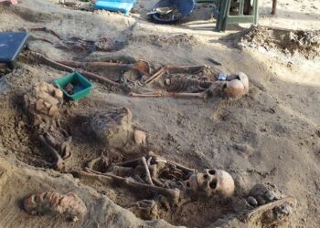 செம்மணி எலும்புகள் மீதான ஆய்வு!