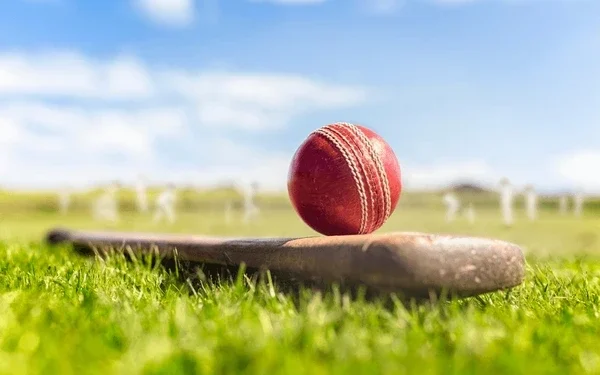 கிரிக்கெட் போட்டியில் விபத்து : ஒருவர் உயிரிழப்பு