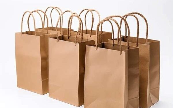 பொலித்தீன் பைகளுக்கு பதிலாக காகிதப் பைகளை உற்பத்தி செய்க