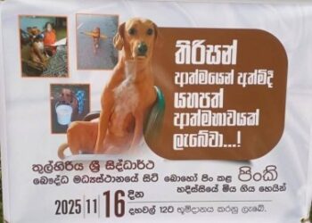 நாய்க்கு இறுதி அஞ்சலி : இலங்கையில் நெகிழ்ச்சிச் சம்பவம்