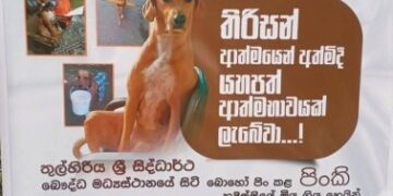 நாய்க்கு இறுதி அஞ்சலி : இலங்கையில் நெகிழ்ச்சிச் சம்பவம்