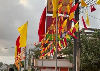 மாவீரர் நாளை முன்னிட்டு அலங்கரிக்கப்பட்ட புதுக்குடியிருப்பு!