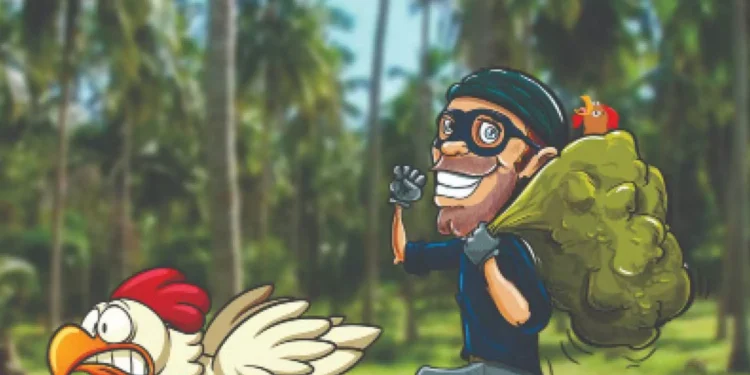 திருமண விருந்துபசாரத்தில் திருட்டு!