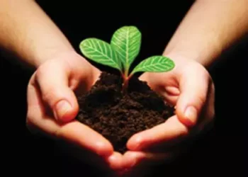 மாதகலில் மரக்கன்றுகள் வழங்கும் விழா!