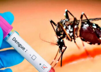 யாழில். டெங்கு பரவும் சூழல்