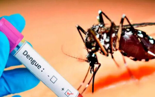 யாழில். டெங்கு பரவும் சூழல்