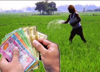 விவசாயிகளுக்கான உரமானியக் கொடுப்பனவுகள் வங்கிகளில் வைப்பு!