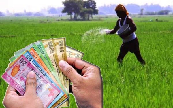 விவசாயிகளுக்கான உரமானியக் கொடுப்பனவுகள் வங்கிகளில் வைப்பு!