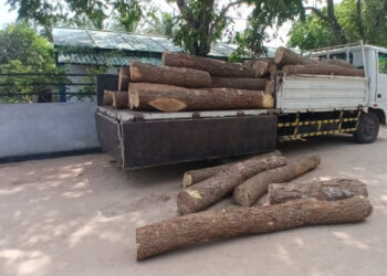 வட்டுக்கோட்டையில் மரக்குற்றிகள் மீட்பு!