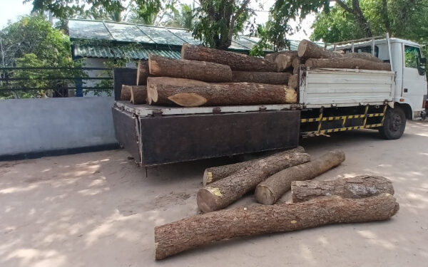 வட்டுக்கோட்டையில் மரக்குற்றிகள் மீட்பு!