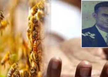 குளவித் தாக்குதலில் இருந்து மகனை காப்பாற்றிய தந்தை பரிதாப மரணம்!