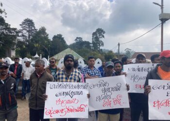 வெளிநாட்டு உருளைக்கிழக்கு இறக்குமதியை உடன் நிறுத்து!