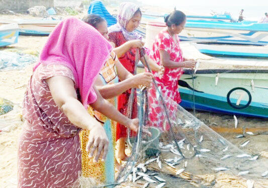 புத்தளம் மீனவர்களுக்கு அடித்த அதிஸ்டம்