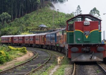 2020 முதல் 2024ம் ஆண்டுவரை- பாதுகாப்பற்ற ரயில் கடவைகளில் 385 விபத்துகள் பதிவு!