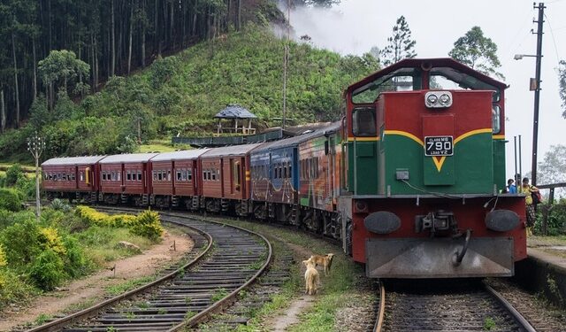 2020 முதல் 2024ம் ஆண்டுவரை- பாதுகாப்பற்ற ரயில் கடவைகளில் 385 விபத்துகள் பதிவு!