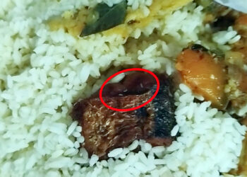 மீன் பொரியலுக்குள் புழு!