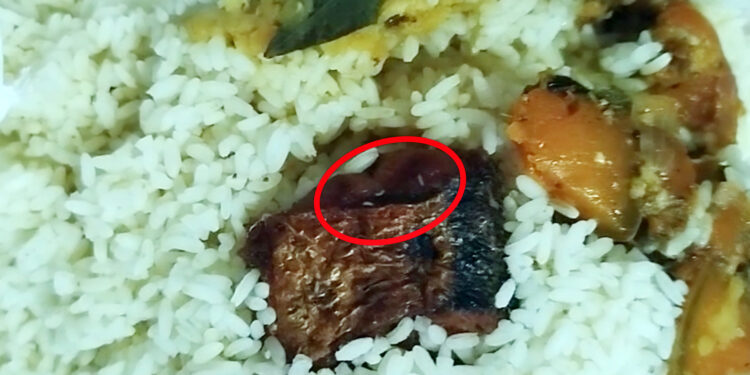 மீன் பொரியலுக்குள் புழு!