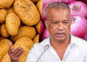 உருளைக்கிழங்கு, பெரிய வெங்காயம் என்பவற்றின் கொள்வனவு விலையை அறிவித்த அமைச்சர்