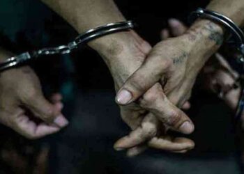 மன்னாரில் பீடி இலைகளுடன் மூவர் கைது!