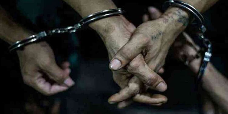 மன்னாரில் பீடி இலைகளுடன் மூவர் கைது!