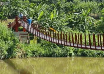 மாத்தளை அங்கந்த – தொங்கு பாலம் மக்கள் பாவனைக்கு!