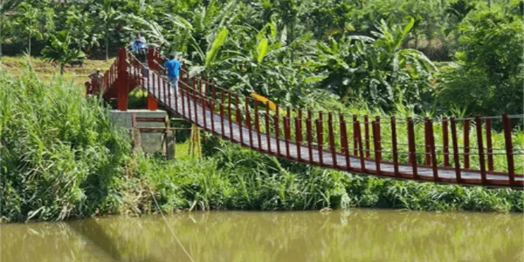 மாத்தளை அங்கந்த – தொங்கு பாலம் மக்கள் பாவனைக்கு!