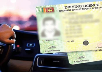 இத்தாலிய சாரதி அனுமதிப்பத்திரம் வழங்க அமைச்சரவை ஒப்புதல்