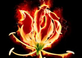 உணர்வெழுச்சியுடன் மாவீரர் நாளுக்கு தயாராகும் மக்கள்