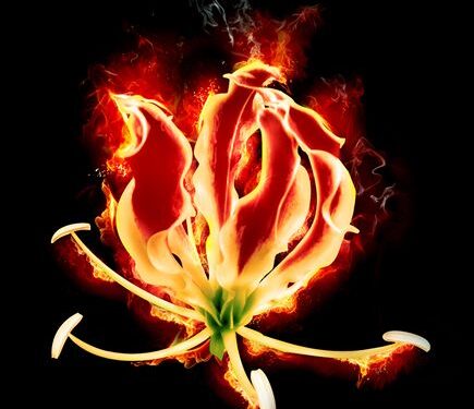 உணர்வெழுச்சியுடன் மாவீரர் நாளுக்கு தயாராகும் மக்கள்