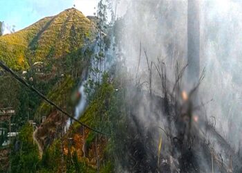 25 ஏக்கருக்கும் மேற்பட்ட கொட்டகலை வனப்பகுதி தீயினால் எரிந்து நாசம்!