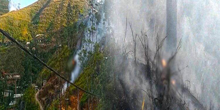 25 ஏக்கருக்கும் மேற்பட்ட கொட்டகலை வனப்பகுதி தீயினால் எரிந்து நாசம்!