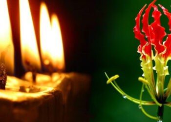 திருமலையில் மாவீரர் பெற்றோர் கௌரவிப்பு விழா