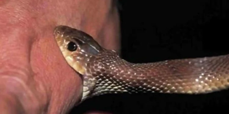 பரீட்சை எழுதவிருந்த மாணவனுக்கு நேர்ந்த விபரீதம்!