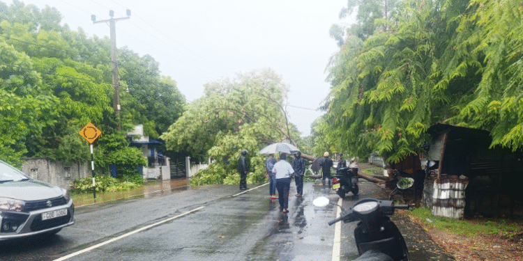 மட்டக்களப்பில் கன மழை : மக்களின் இயல்புநிலை பாதிப்பு