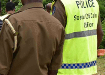 வவுனியா,கிரிபத்கொடையில் ஆயுதங்கள் மீட்பு : தொடர்புள்ளவர் வெளிநாட்டில் – விசாரணையில் வெளிவந்தது