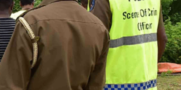 வவுனியா,கிரிபத்கொடையில் ஆயுதங்கள் மீட்பு : தொடர்புள்ளவர் வெளிநாட்டில் – விசாரணையில் வெளிவந்தது