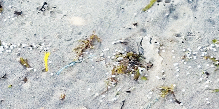மன்னார் கடற்கரையோரங்களில் மீண்டும் பிளாஸ்டிக் துகள்கள்