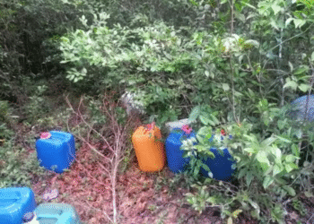 உடையார்கட்டில் 250 லீற்றர் கசிப்பு மீட்பு